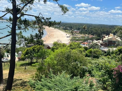 Excelente terreno aterrazado con vista al mar en Punta Ballena