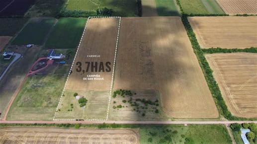 Venta - Chacra - 3.7 Hectareas - San Roque - Carmelo - Colonia 