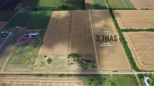 Venta - Chacra - 3.7 Hectareas - Colonia Estrella Carmelo