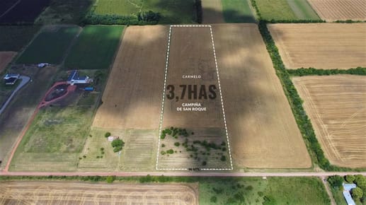 Venta - Chacra - 3.7 Hectareas - San Roque - Carmelo