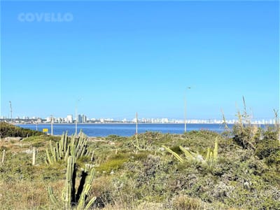 Terreno en venta primera linea del mar  - Pinares, Playa Mansa