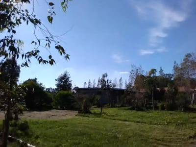 Casa - Punta del Este
