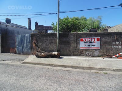 Terreno - Carmelo