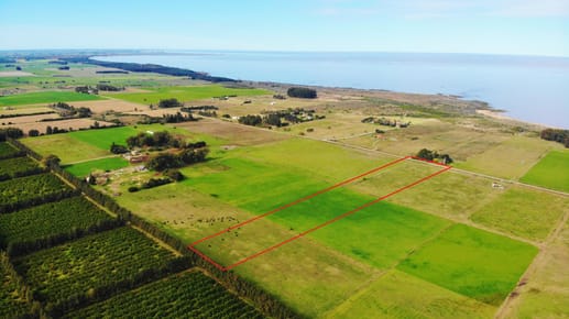 Colonia, Matamora - Venta campo de 5 hectáreas a metros de la playa