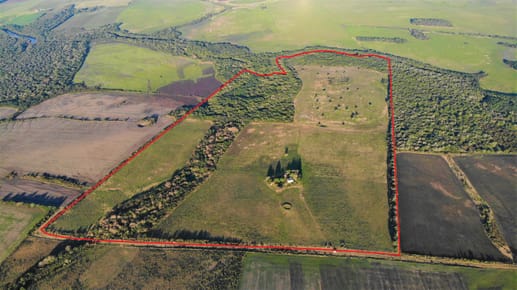 Venta - Campo - Carmelo - Zona Víboras