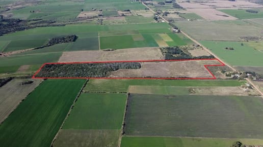 Venta - Campo - Chacra - Carmelo - Colonia Arrué