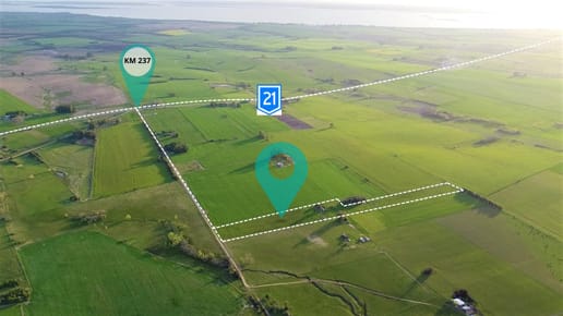 Venta de Chacra en Carmelo sobre Ruta 21 de 3,6 hectáreas