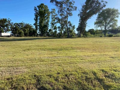 Terreno - Punta del Este