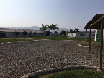 Terreno - Cañete