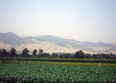 Terreno en Mala