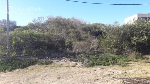 Terreno - Chihuahua