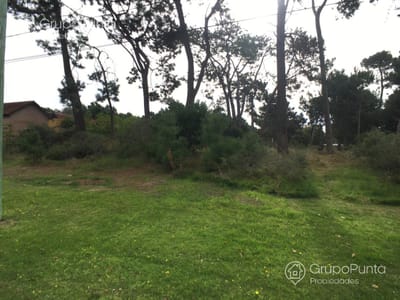 Terreno en venta en  Jardines de Cordoba, punta del este. Apto para PH propiedad horizontal.
