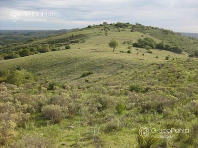 Campo de 36 hectareas ,terreno  en venta en  Pueblo Edén