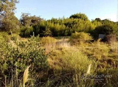 Terreno en  Venta en El Chorro