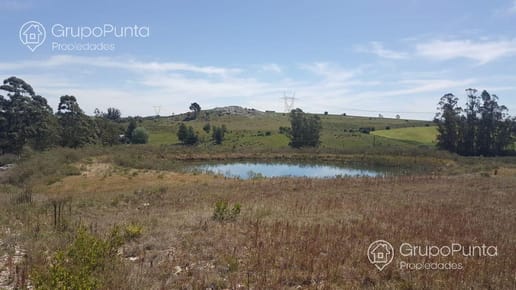 Oportunidad campo en venta- Ruta 12, Abra de Perdomo