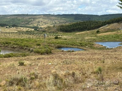 Chacras en venta 5 Hectareas - Ruta 12 - Minas