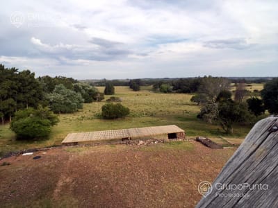 Chacra con piscina  en venta - Punta Ballena