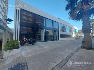 Alquiler Local Comercial - Península - Punta del Este