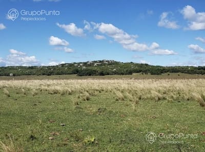 Campo Ganadero en San Jose de 126 ha, Sierra de Mahoma, Ganadero