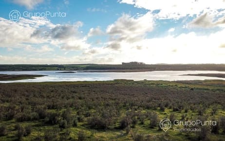 Chacra - Laguna del sauce