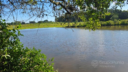 Excepcional Chacra en La Pataia - Punta Ballena