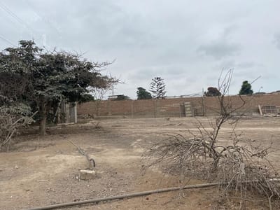 Terreno en Lurín