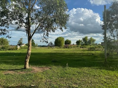 Terreno en Treinta y Tres!