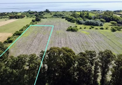 Colonia - San Pedro - Venta de Chacra de 1 hectárea 1279 m2
