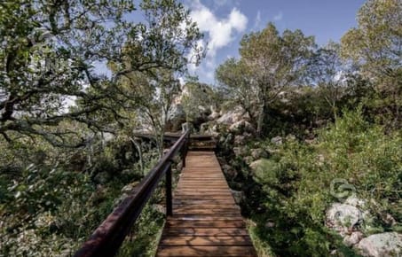 Chacra - Pueblo Edén