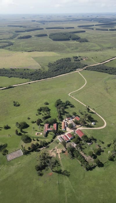 Campo en  Treinta y Tres