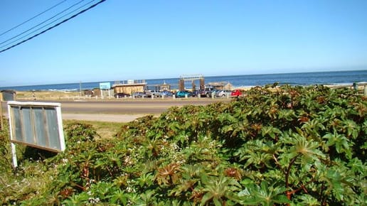 MONTOYA TERRENO EN VENTA TM 5558