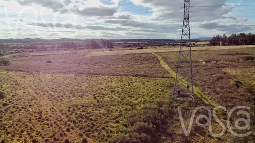 Campo sobre ruta 9 a pocos kilómetros de San Carlos