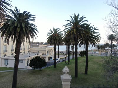 Apartamento de 1 Dormitorio y Terraza, Parque Rodó!