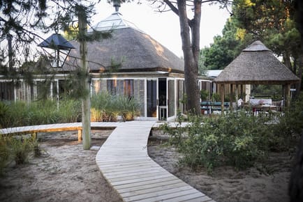 Local en Arenas de José Ignacio - TM4360130