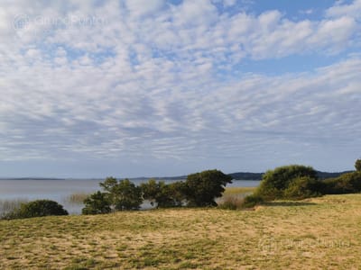 Terreno en venta Club del Lago bosque y laguna a pocos minutos de Punta del Este