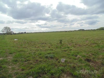 Campo en venta en Colonia Estrella, Carmelo