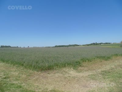 Venta Campo Carmelo Ruta 21