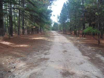 Terreno en venta en Balneario Zagarzazú Carmelo