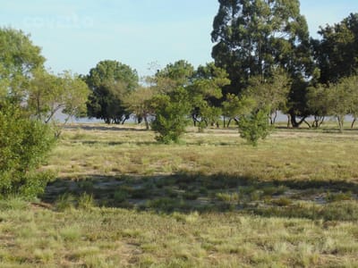 Solar en venta en primera línea en Balneario Zagarzazú Carmelo