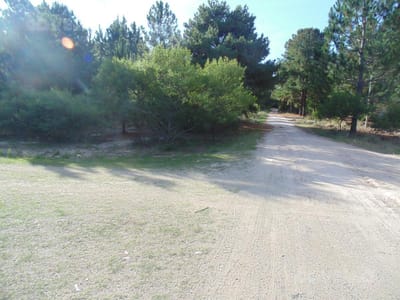 Terreno arbolado en venta en Balneario Zagarzazú Carmelo