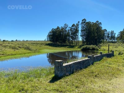 Venta campo 31 hectáreas - José Ignacio