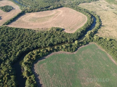 Campo en venta en Carmelo