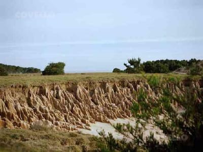 Terreno - José Ignacio