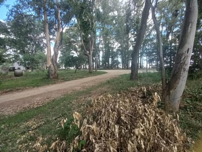 Terreno con amplio frente metros de la playa en balneario El Ensueño