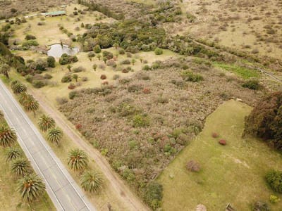 Hermoso y amplio terreno sobre Ruta 1