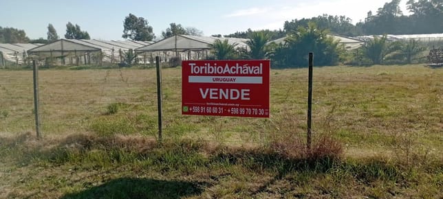 Terreno en  Colonia VALDENSE Lote 3