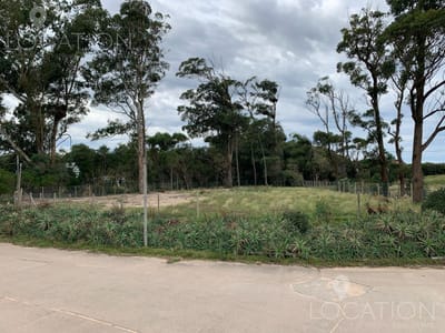 Terreno en Punta Ballena