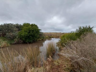 Muy Lindo Campo de 30 Hectareas en Valle del Solis