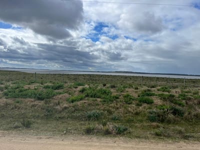 LA RINCONADA N°85 de 5.5 HA - TM6365751