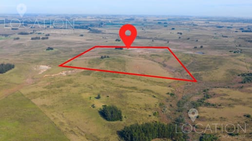 Venta campo 38 hectáreas Ruta 9, Rocha